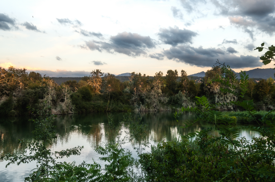 Visite au crépuscule de la Réserve Naturelle du Delta de la Dranse_Thonon-les-Bains