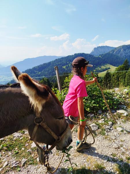Randonnée avec les ânes : 4 jours Tour du Charbon_Les Déserts