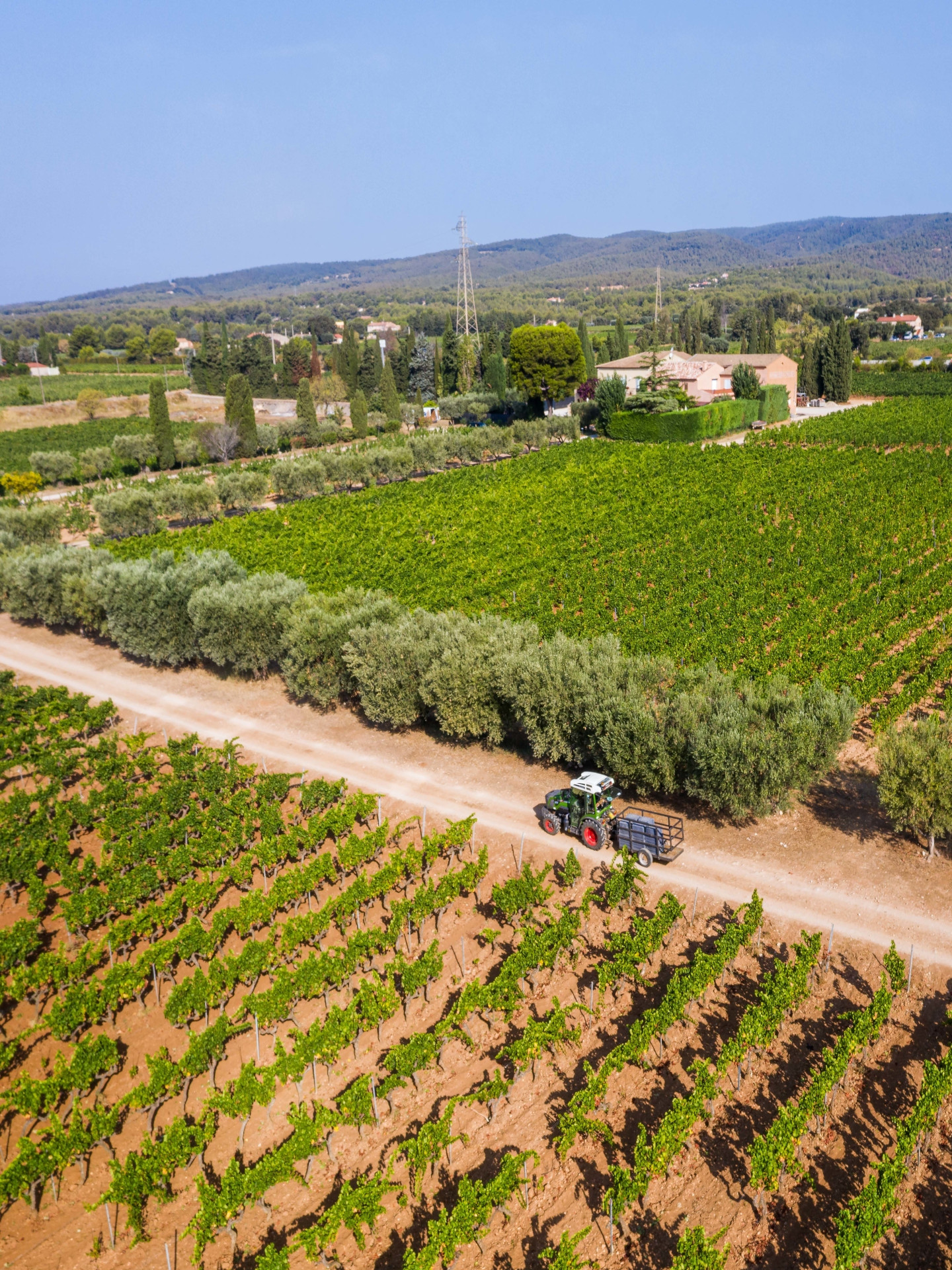 Domaine du Paternel