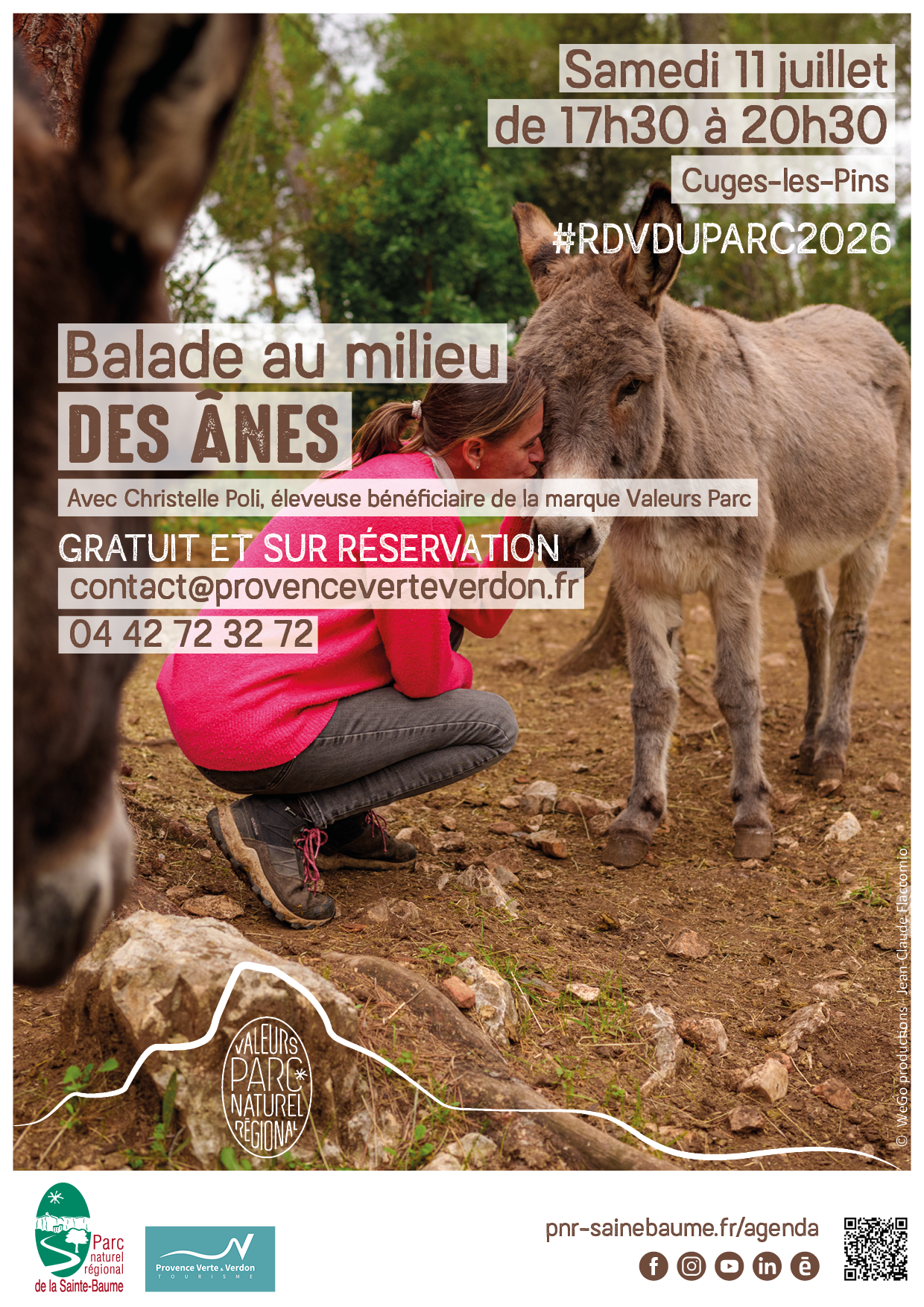 #RDVduParc • Balade au milieu des ânes