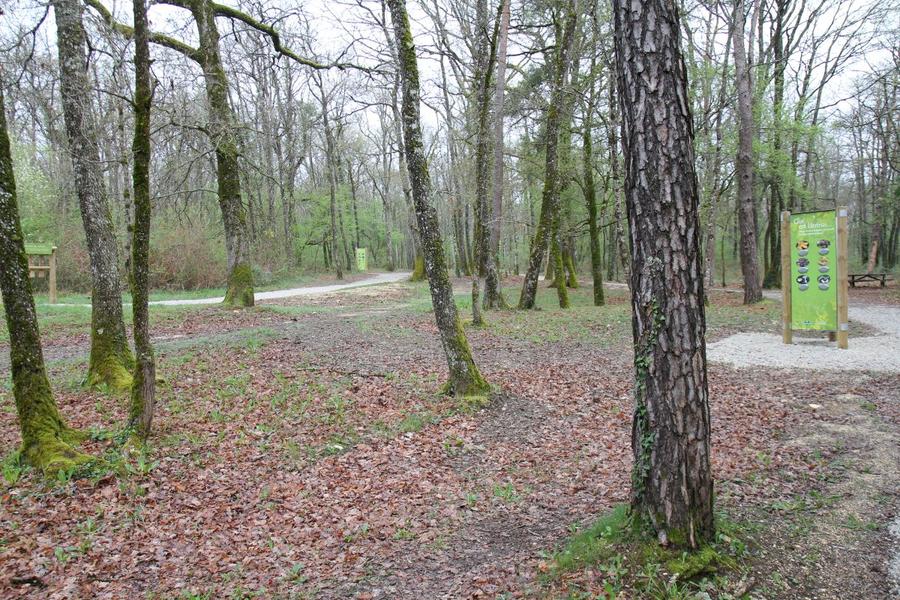 Aire de pique-nique de Bois Blanc