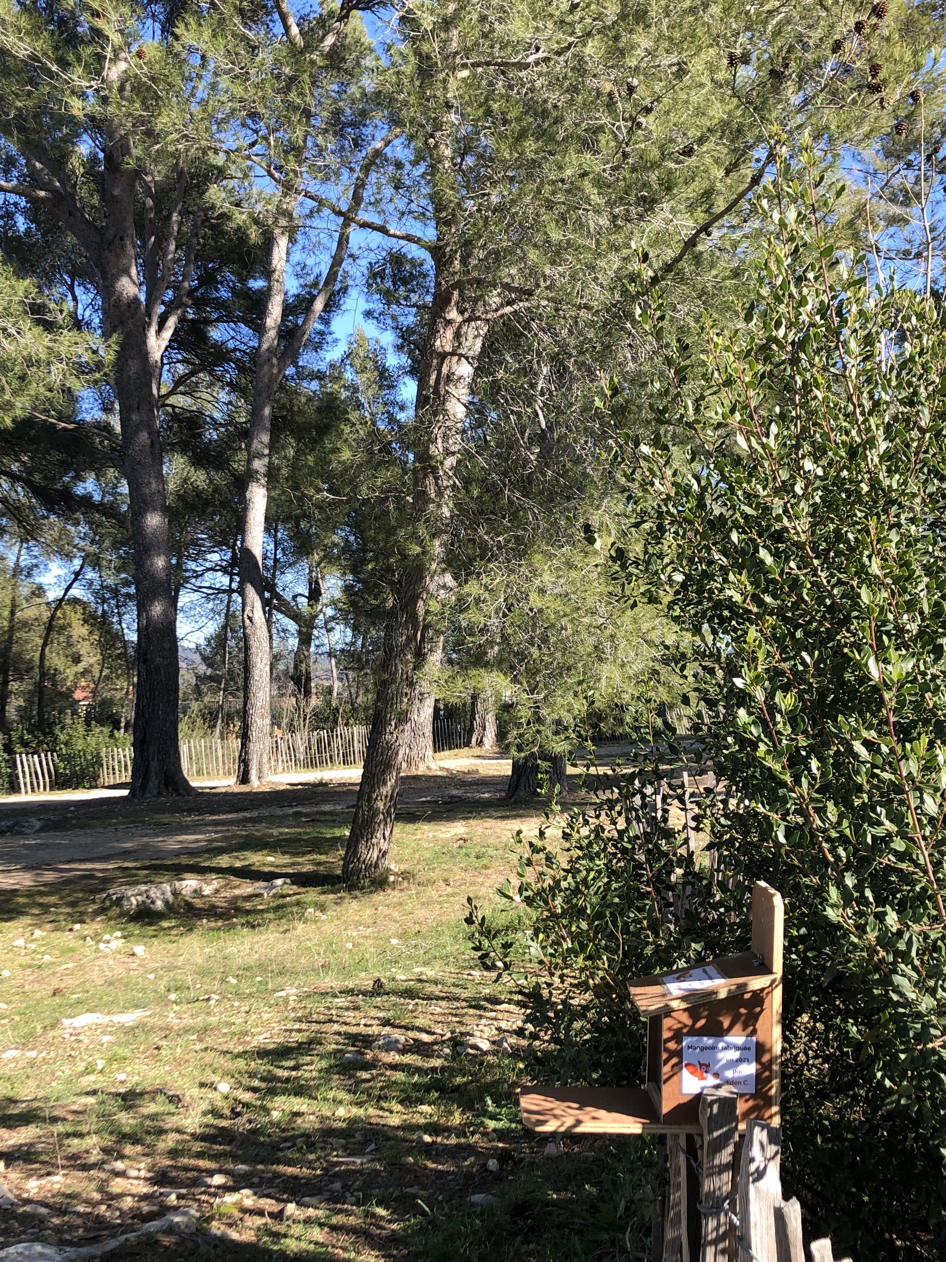 Parc aux écureuils - photo 2