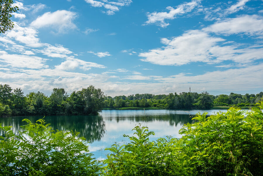 Marais de l'île vieille