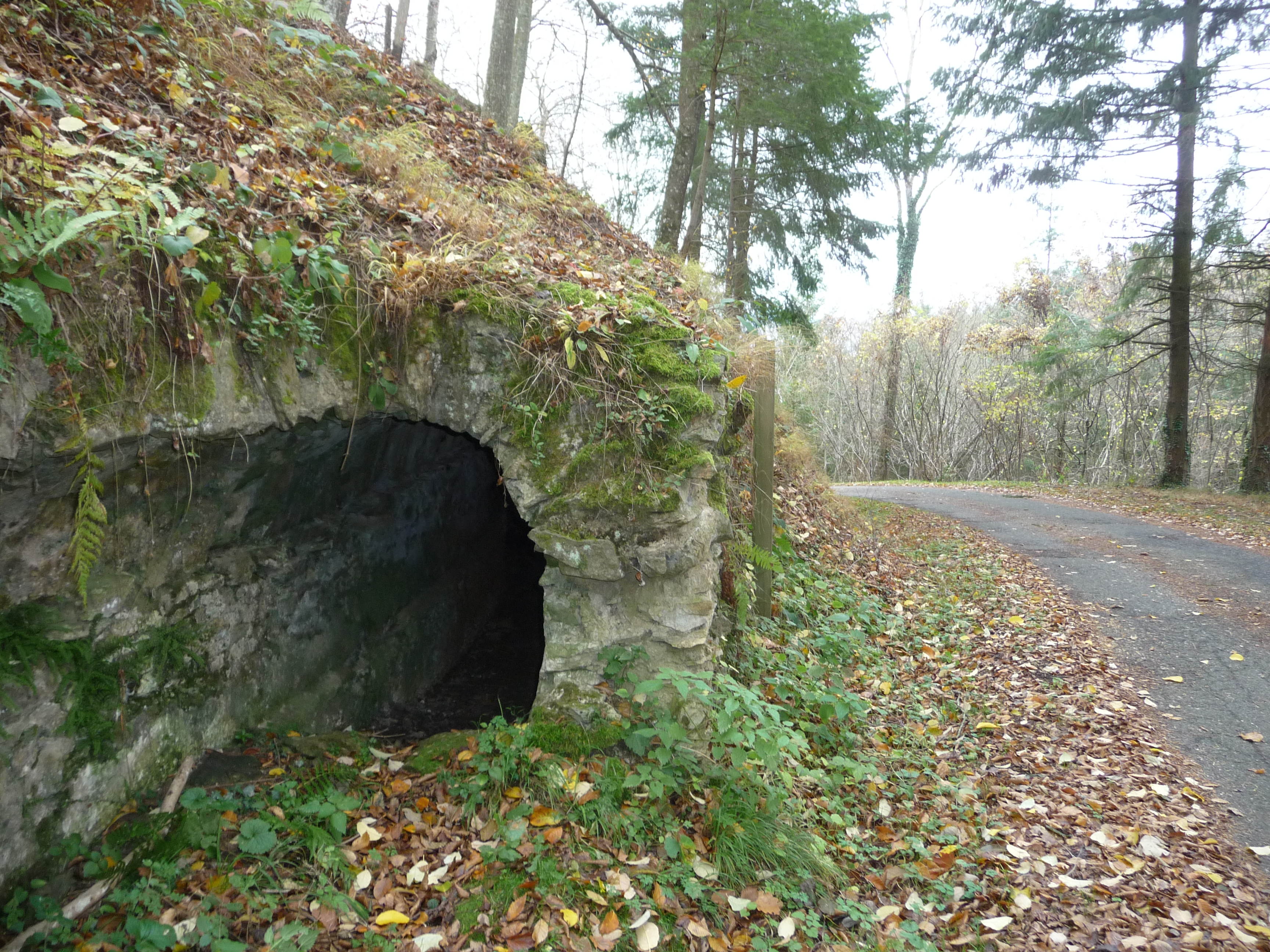 Aqueduc à Courzieu