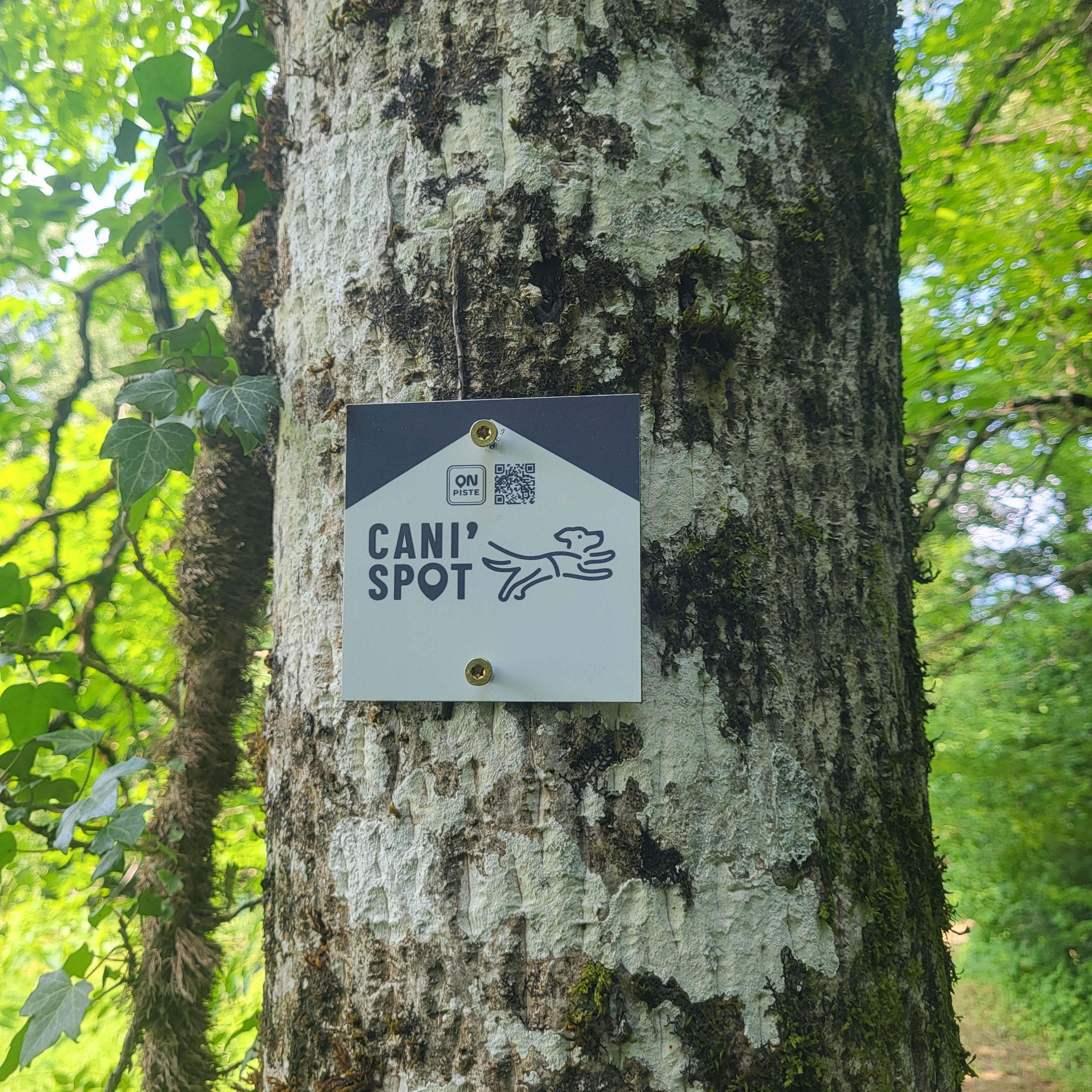 photosFeed-https://static.apidae-tourisme.com/filestore/objets-touristiques/images/148/243/32306068.jpg