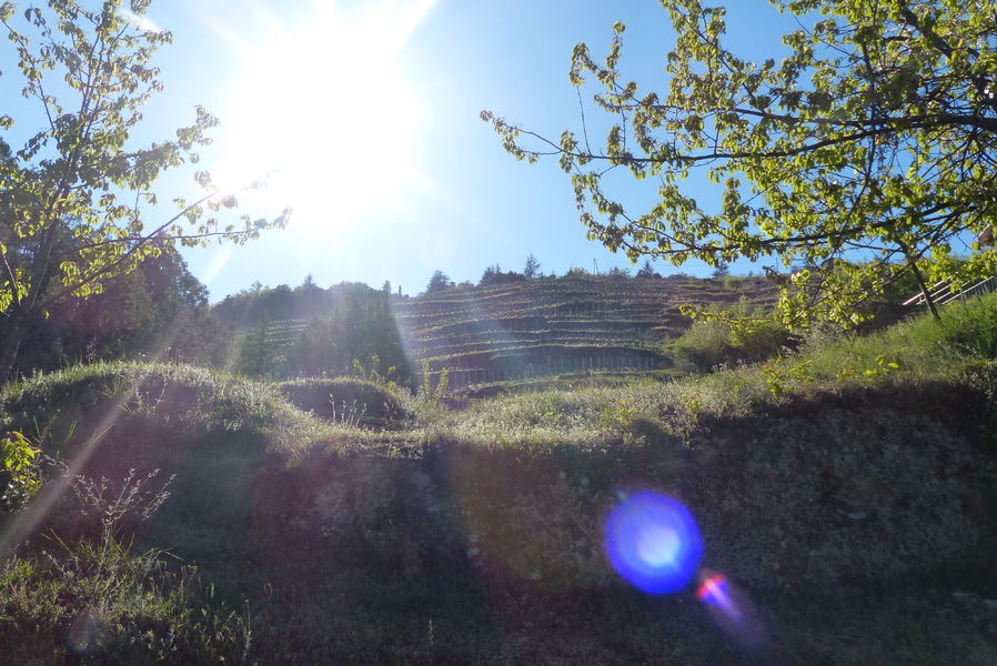 Domaine de la Côte St Epine