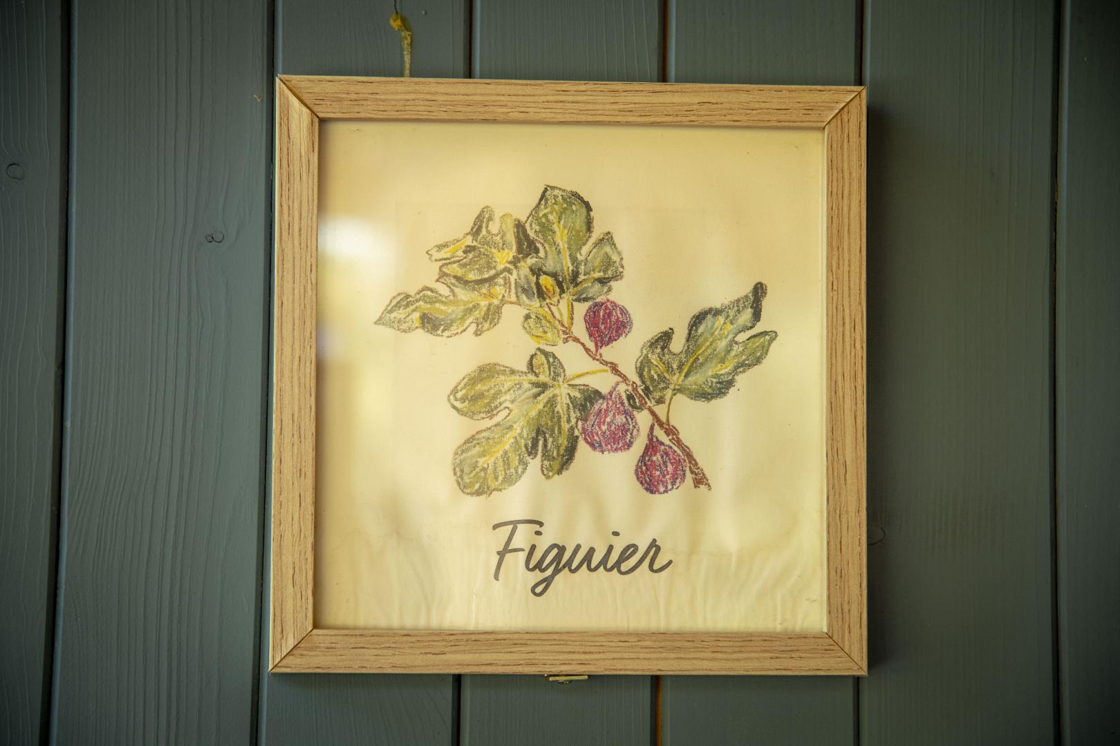 Figuier, Jouques - photo 8