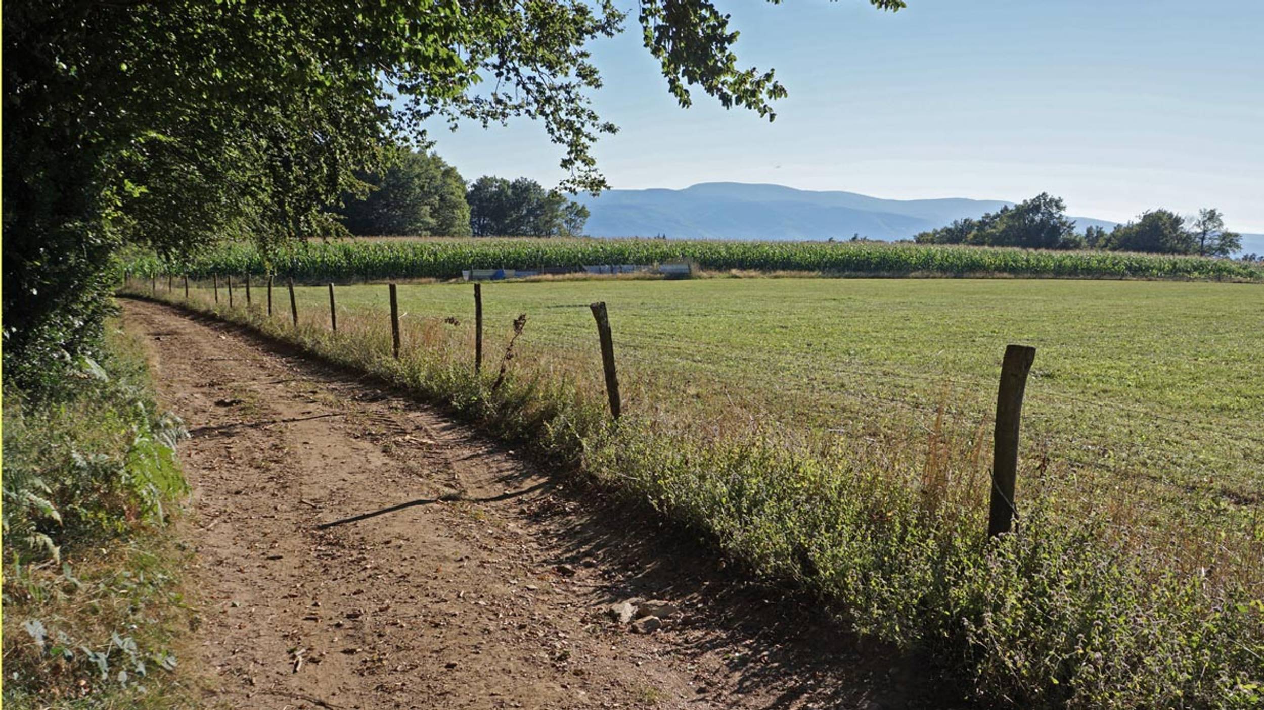 les-hauts-de-la-mole-zeeza4gci7i6