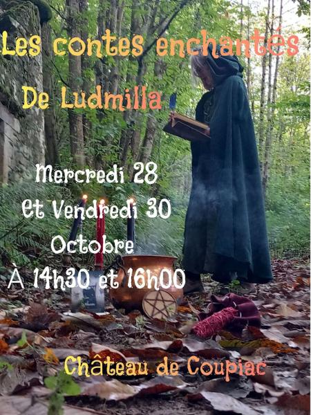 Les contes enchantés de Ludmilla