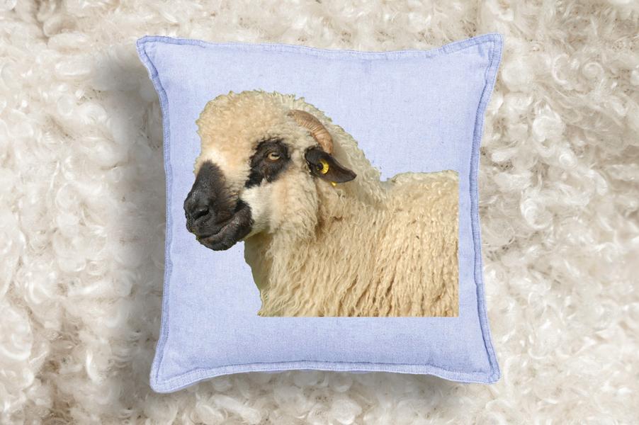 Au labo du Château : Coussins tout doux it yourself_Sallanches