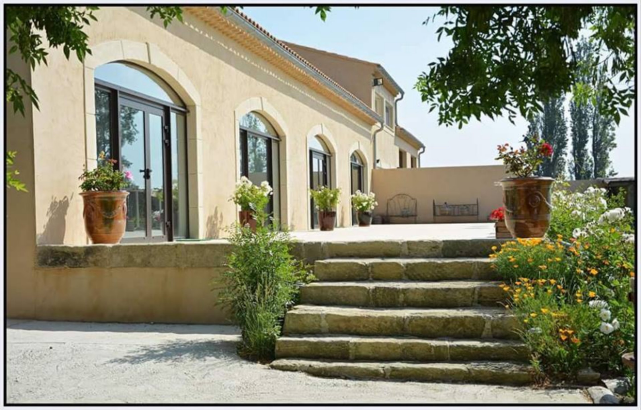 Manade Caillan, Saint-Rémy-de-Provence - photo 9