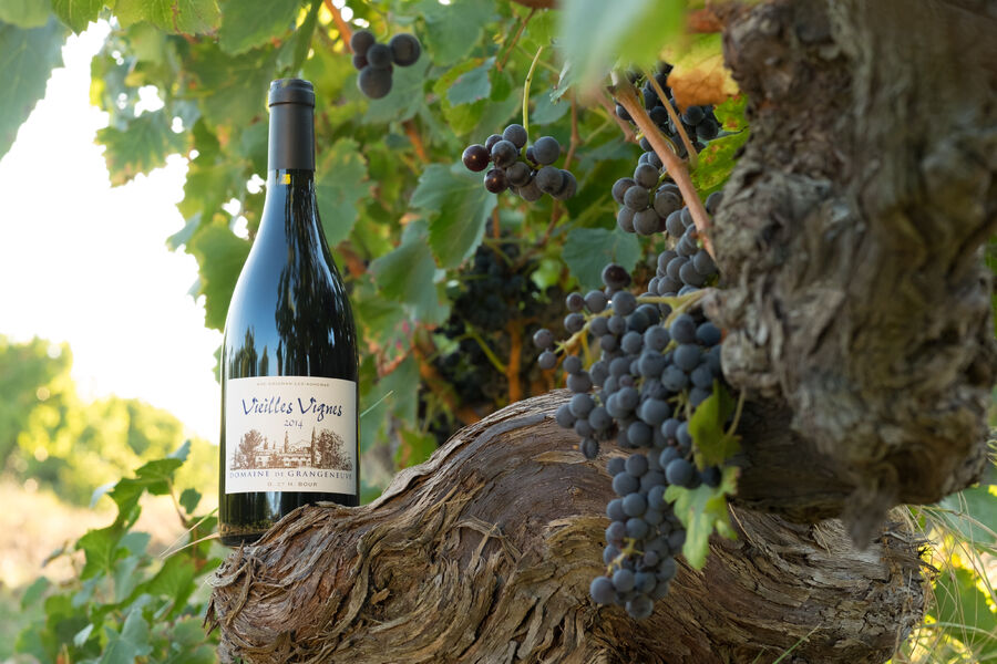 Domaine de Grangeneuve - Roussas