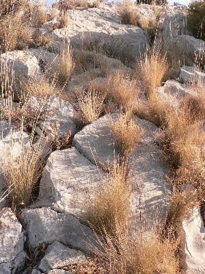 Mimet : Baou Traouqua, Mimet - photo 4