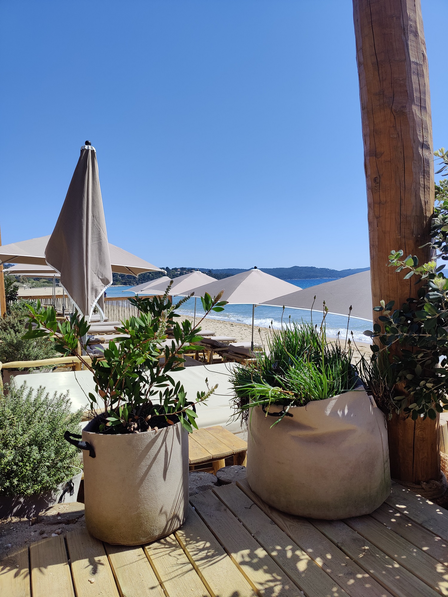 Vue des parasols clairs et de la plage de Pardigon