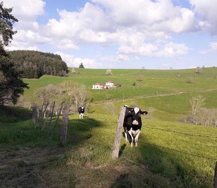 Gite La Rinière_Thizy-les-Bourgs