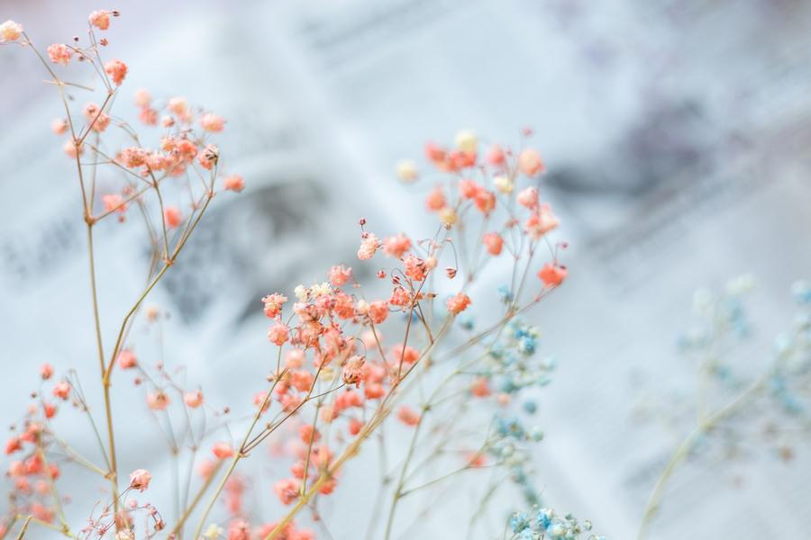 Atelier Création Florale à Mison : pipettes d