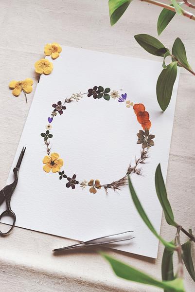 Création dun herbier de fleurs pressées