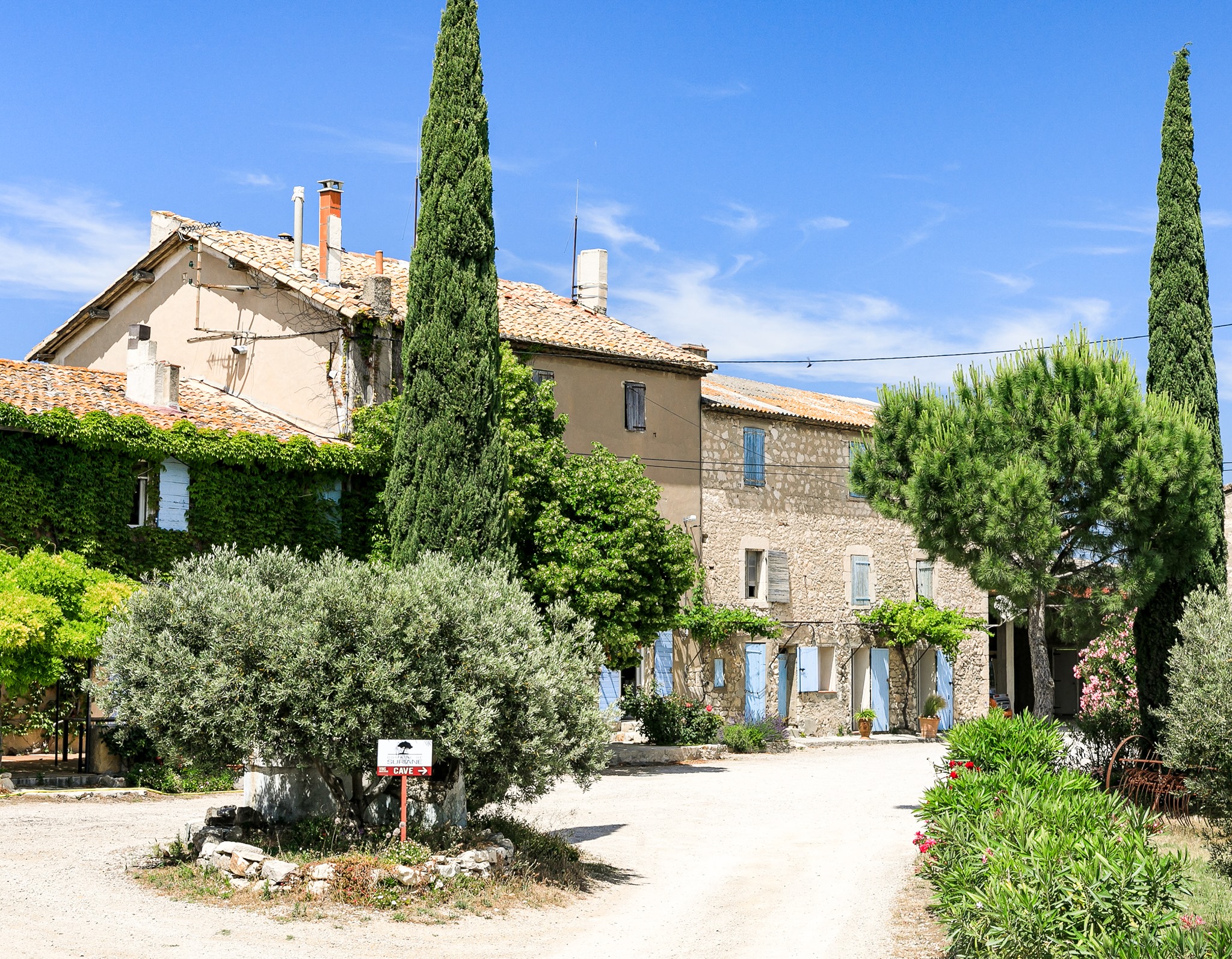 SCEA DOMAINE DE SURIANE, Saint-Chamas - photo 6