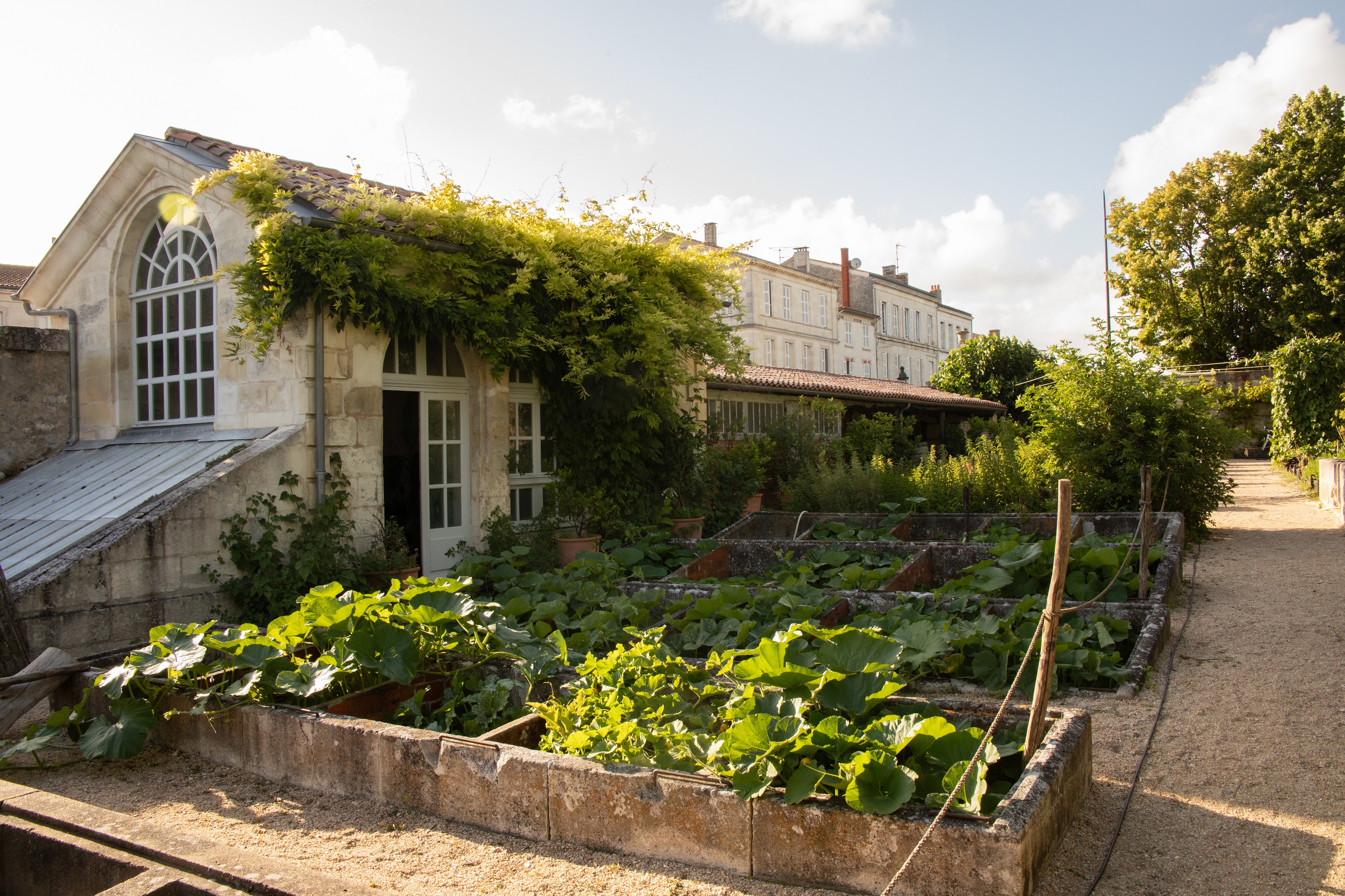 Visite guidée : plantes et jardins