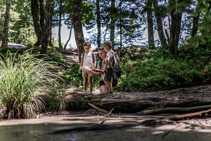 Réserve naturelle du Roc de Chère_Talloires-Montmin