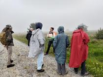 Sur les traces des glaciers foréziens_Sauvain