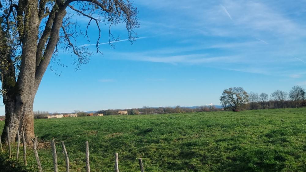 Liaison VTT-VTC (L7) St Trivier de Courtes - Dunes de Sermoyer_Saint-Trivier-de-Courtes