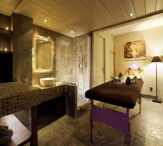 Spa-salle-ours-brun-E