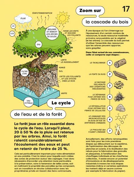 Image illustrative