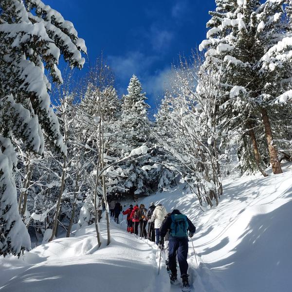 Refuge du Lac de la Grande Lechere_Saint François Longchamp