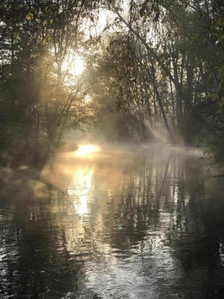 rivière cheminant sur la propriété les berges étant privatives