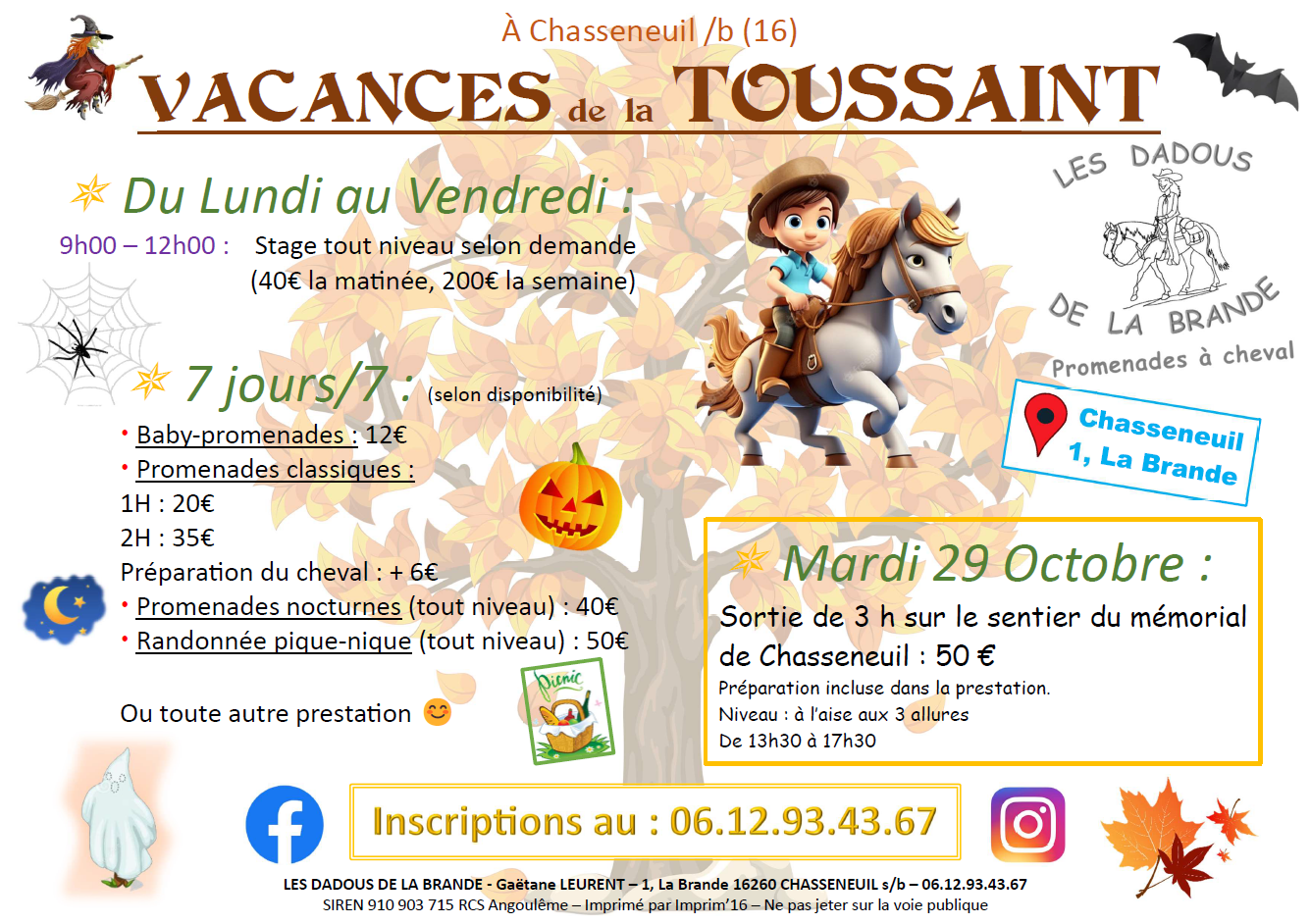 Vacances à cheval / poney !