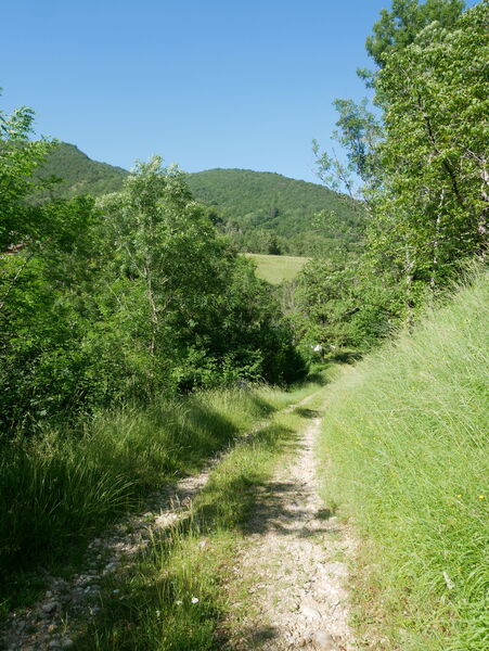Sentier