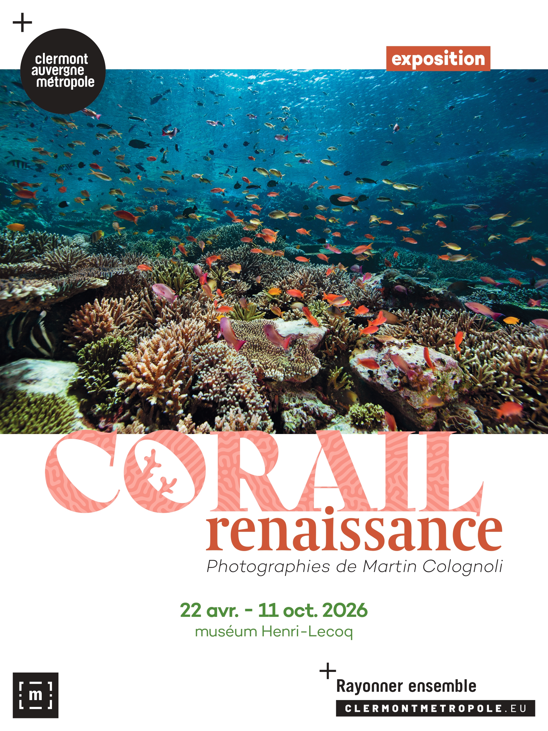 Visite commentée de l'exposition Corail Renaissance | Muséum Henri-Lecoq