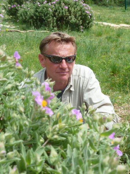 Sortie plantes sauvages comestibles