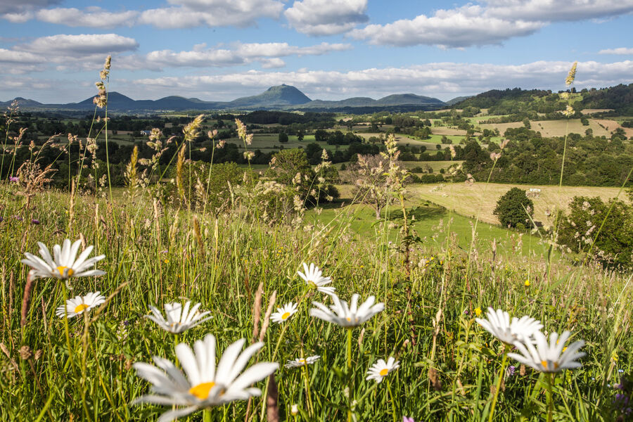 Vue sur la Chaîne des Puys
