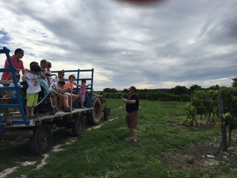 Apéritif dinatoire & Balade en tracteur et remorque chez Vignoble Thibeau