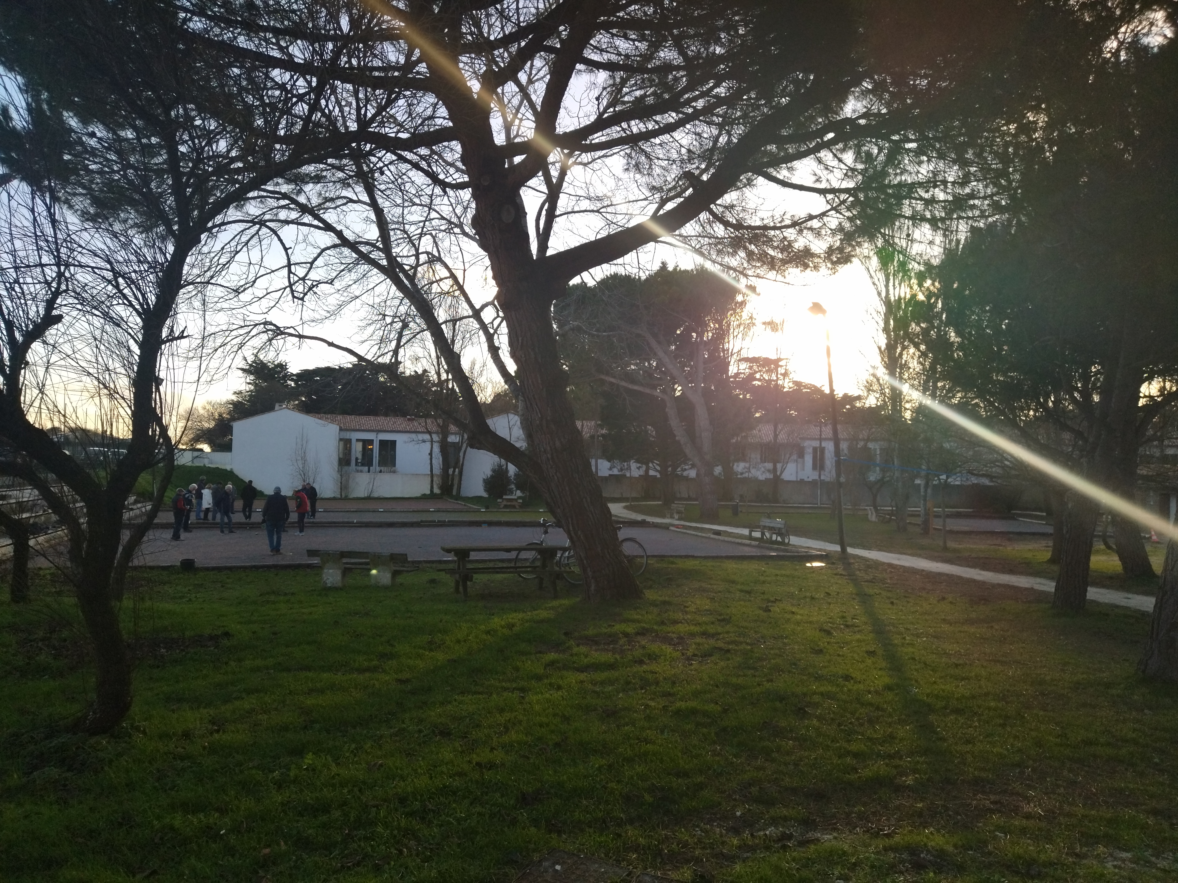 Terrains de pétanque