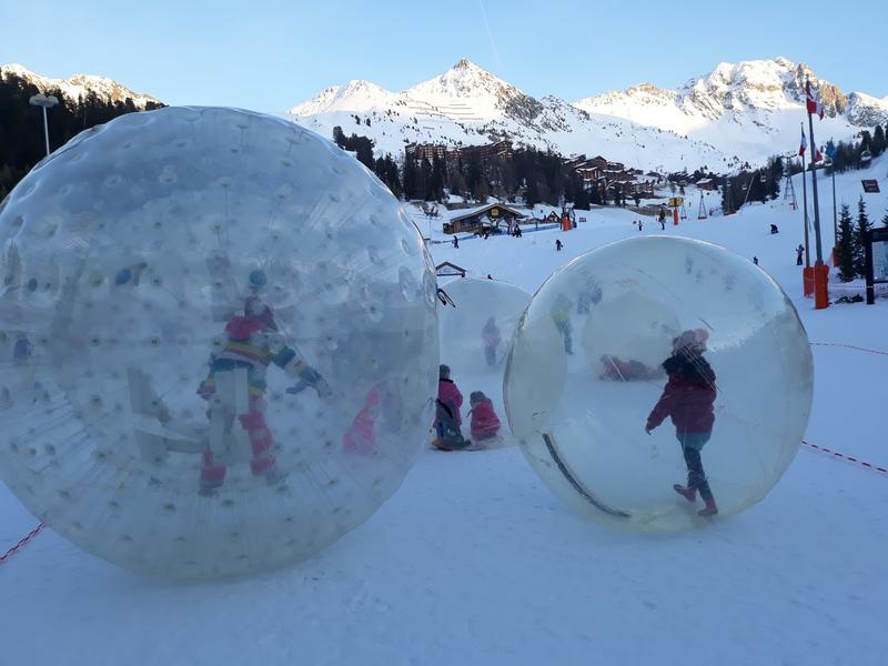 snowbulles