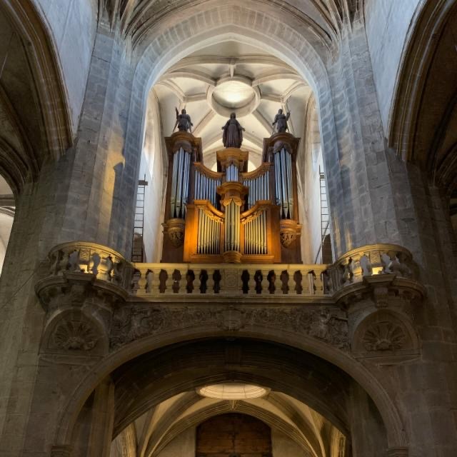 Orgue_Co-cathédrale Notre-Dame Bourg en Bresse