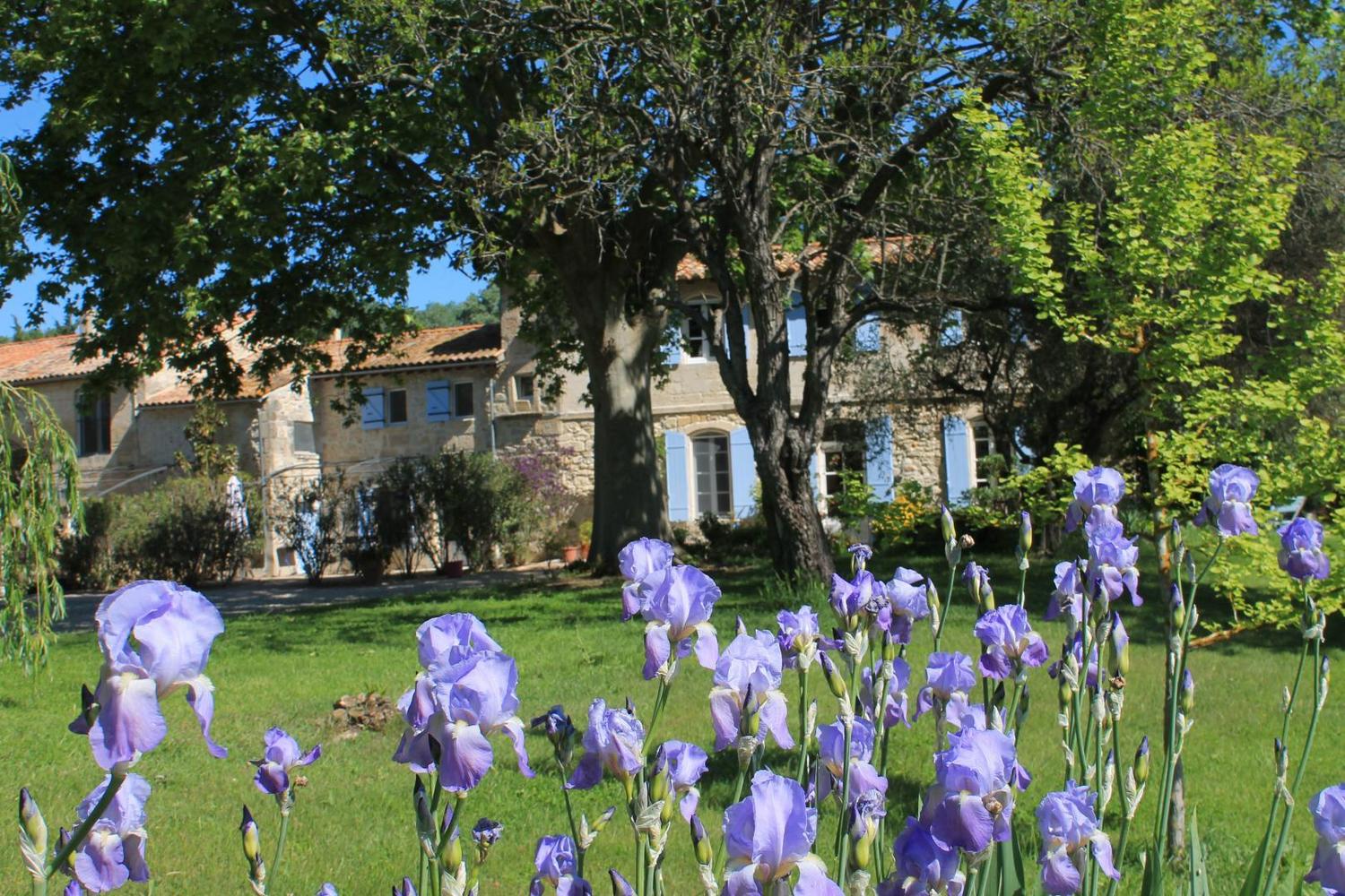 La Treille, Arles - photo 11