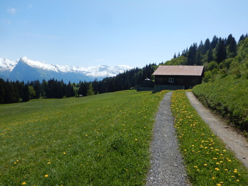 L'été au plateau d'Agy