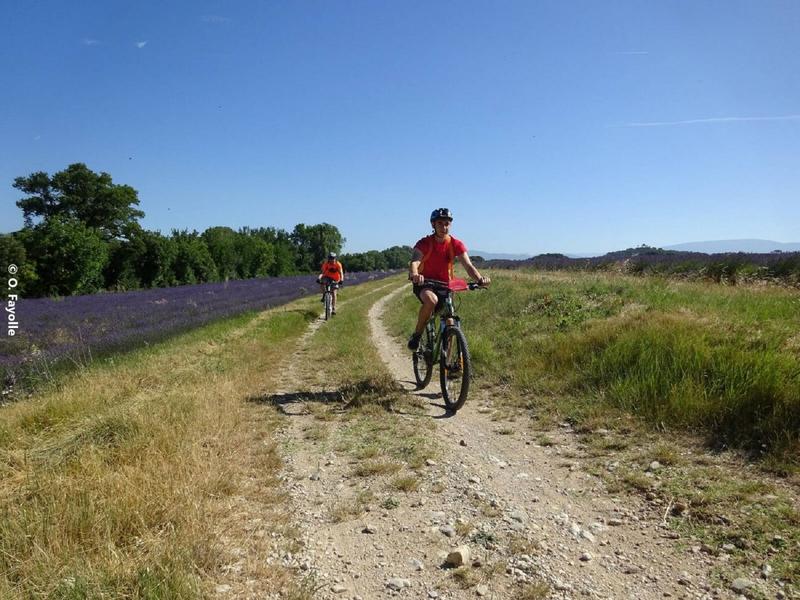 Autour de Chanabasset