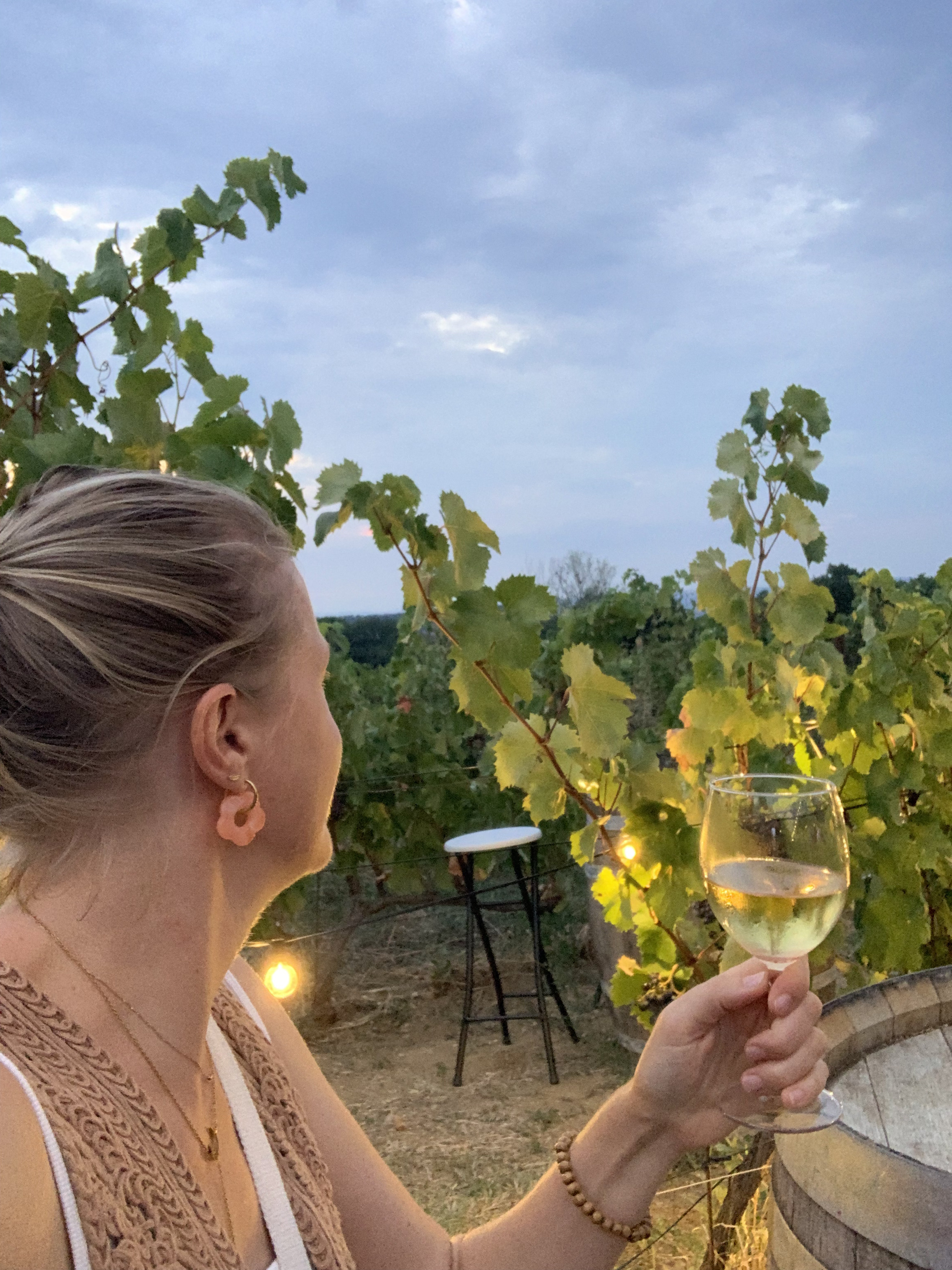 Balade Gourmande " Garrigue, village et saveurs"