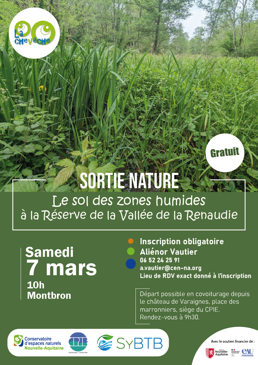 Sortie Nature : Le sol des zones humides