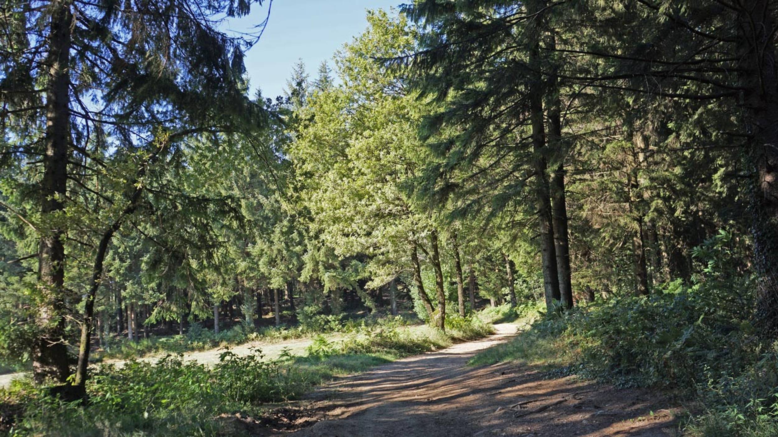 les-hauts-de-la-mole-mvdmiufco1lh