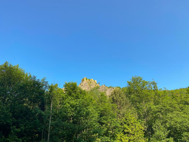 Marche des rossignols_Sail-sous-Couzan