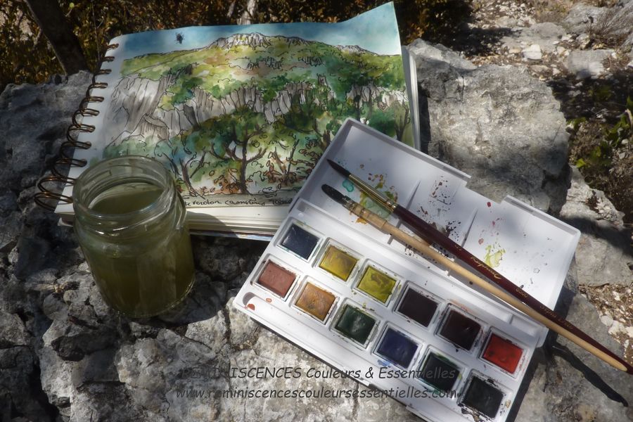 PEINTURE DANS LA NATURE SYLVOTHERAPIE