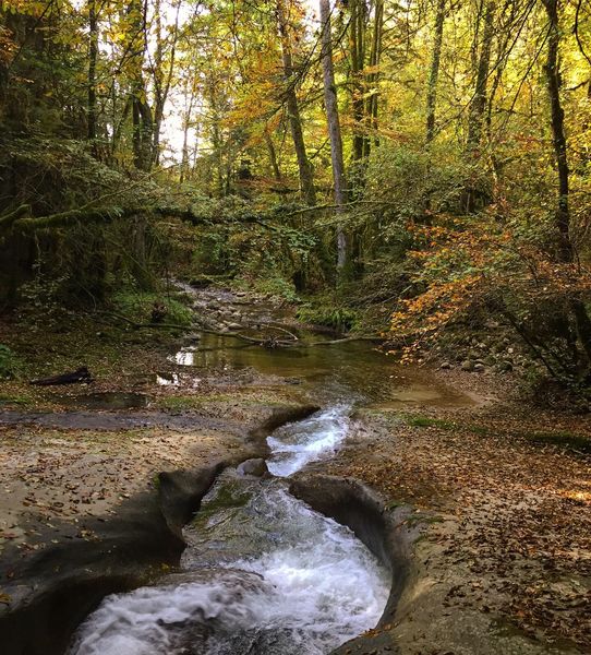 Circuit de randonnée pédestre : La vie du Loup