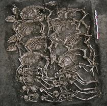 La tombe aux hommes et aux chevaux