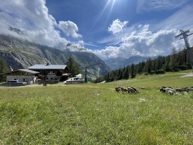 Trifollet_Val-d'Isère